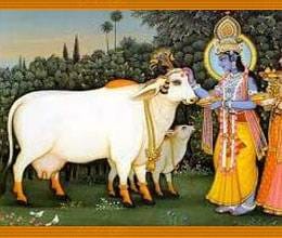govardhan and annakut utsav history 