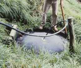 learn dairy and biogas tricks