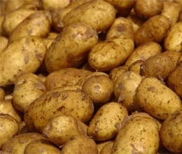 now potatoes will rise in plastic bag