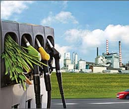 petrol option expected bio refinery 