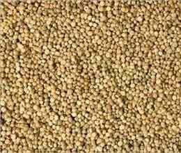 fmc consulting commerce min on lifting ban on guar future