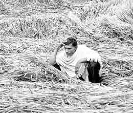 small farmers not getting crop insurance