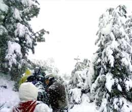 people are drinking water to melt snow in shimla 