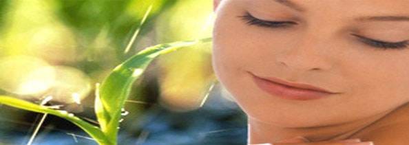 natural alternatives of cosmetics