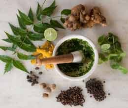  fifth world conference on ayurveda will start from seven in bhopal