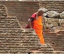 government is deciding what to eat buddhist monk