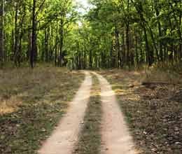 village rehabilitation programme in madhya pradesh