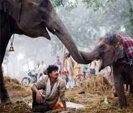famous sonpur animal fair started in bihar