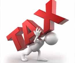 what should do on income tax notice