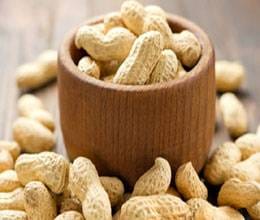 lohri 2024 know traditional foods on Lohri good for health in hindi
