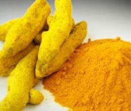 improved varieties of turmeric farmer benefiting