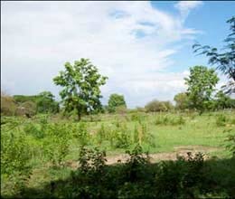 land acquisition bill developers have to pay more money
