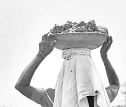 here lohia dreams are broken 