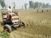 The agricultural scientist honored in Mahendergarh