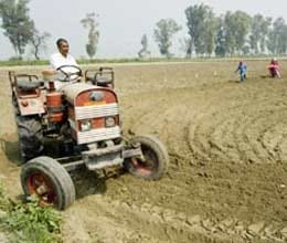 Prali in Punjab okays policy for using the fields