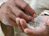 Total ban on tobacco in Delhi