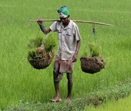 farmer knowledge for astrologer