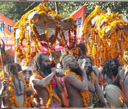 see russian culture in mahakumbh city