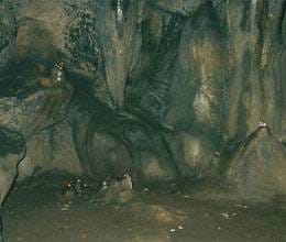 universal devastation mystery in temple and cave 
