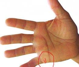 love and marriage line in palmistry 