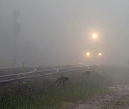 cold and fog eases in ncr