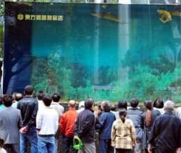 33 ton shark tank burst in shopping centre