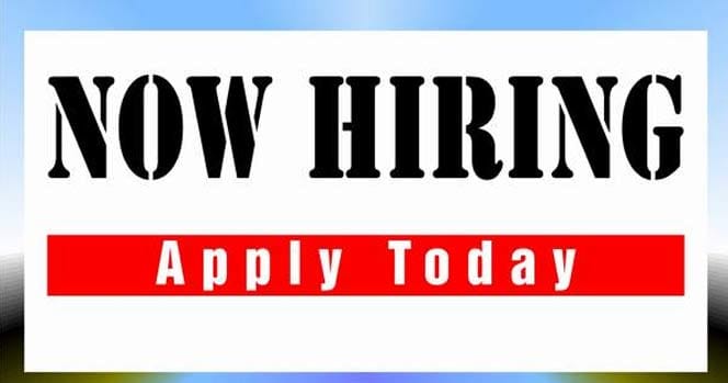 IT services sector may drive hiring in 2013: Survey