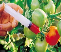 it's your desire to eat genetically modified food 