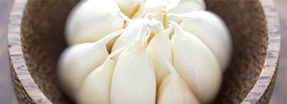 garlic health benefits children pathogens