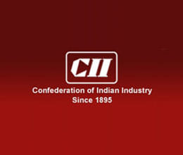 cii msme wish list for union budget 2013 14