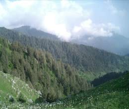 lowest temperature in three years in dehradun
