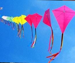 youth are bying kite