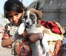 jharkhand girl marrige to dog rituals