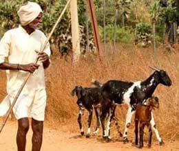 It is a village where .. - was sold at one rupee an acre