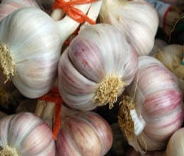 smugglers eyes on chinese garlic