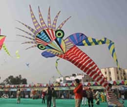 kite festival 4000 led bulb kite make record
