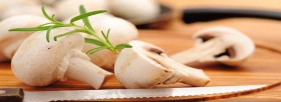  health benefits of mushroom for diabetics