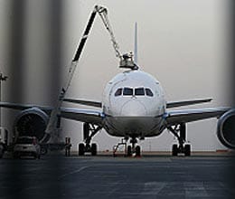 not fly dreamliner planes