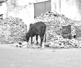 change our city