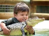 charlie 3 love to aligator as a pet