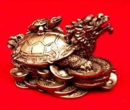 kachua fengshui turtle brings prosperity 