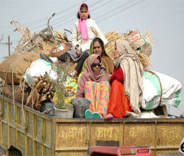 scientists found secret of health of pilgrims 