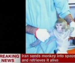 iran says it successfully sent a monkey into space