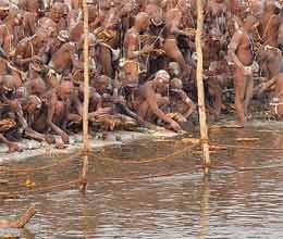 thousand naga sadhu did his pind daan