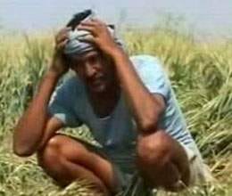 farmers are not depositing their electricity bill in up