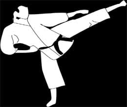 fair elections demand in karate do federation