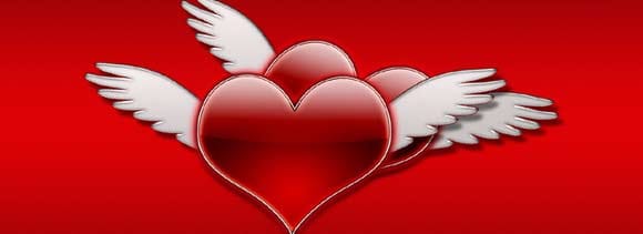 Valentines' Day celebration on Zee TV