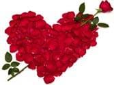 rose day