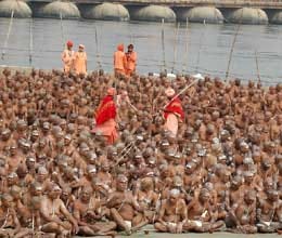 twelve hundred men take sannyas in maha kumbh
