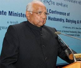 Pawar rules out early general elections